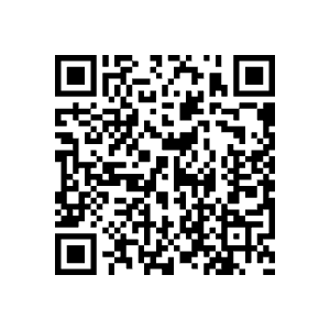 QR Code to the payment website